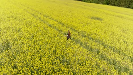 Rapeseed-field,-young-brunette-female-navigates-her-way-between-plants