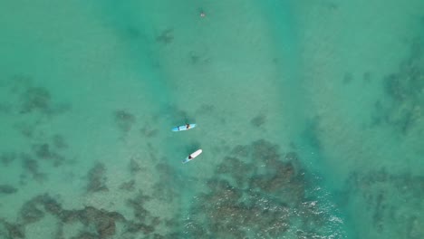 Overhead-of-two-surfers-sitting-in-turquoise-Hawaiian-waters-over-reefs