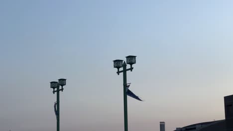 Torn-flag-flapping-on-a-street-lamp-against-a-dusk-sky