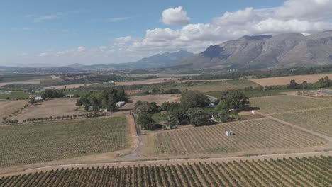 Captivating-aerial-footage-showcases-the-breathtaking-beauty-of-a-farm-nestled-in-the-picturesque-landscape-of-Cape-Town,-South-Africa