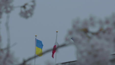 A-view-through-cherry-blossoms-to-fluttering-flags-including-the-Ukrainian,-Polish,-and-European-Union-flags,-symbolizing-international-unity-and-peace