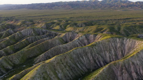 Ausläufer-Rund-Um-Den-Soda-Lake-Im-Carrizo-Plains-National-Monument