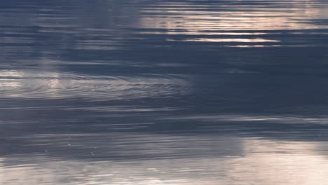 Ripples-on-the-water's-surface