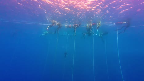 Freedivers-With-Ropes-In-The-Red-Sea-In-Dahab,-Egypt