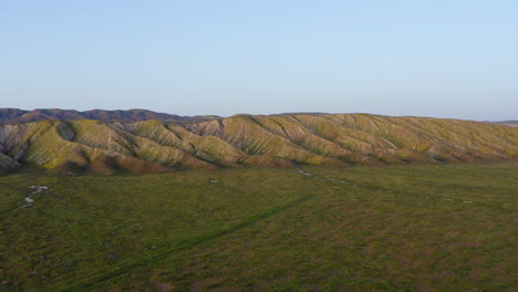 Horizonte-Al-Anochecer-En-Las-Estribaciones-De-Las-Llanuras-De-Carrizo,-Paisaje-Solitario-Verde-En-California,-EE.UU.