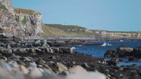 Withered-cliffs-covered-with-dry-grass-and-moss-tower-above-the-shoreline