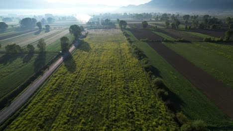 Colorful-Agricultural-Parcels-in-a-Beautiful-Morning-with-Spring-Hues-Adorning-the-Sown-Fields,-Copy-Space