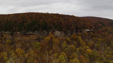 Green-trees-line-edge-of-Whitaker-Point,-yellow-trees-below-cliff,-Ozarks-Arkansas