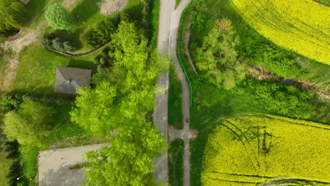 A-top-down-view-of-a-circular-area-surrounded-by-trees-adjacent-to-bright-yellow-canola-fields,-including-a-small-playground-and-parking-lot,-highlighting-the-community's-recreational-space
