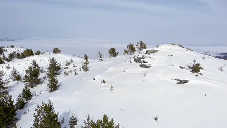 Drone-view-flying-over-beautiful-mountain-peak-covered-in-snow-and-conifer-trees-revealing-valley-full-of-foggy-clouds