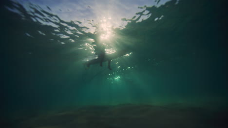 Underwater-silhouette-of-surfer-waiting-below-sun-rays-in-water