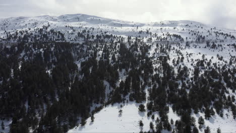 Luftaufnahme-Der-Schneebedeckten-Berghänge-Und-Nadelbäume,-Majestätischer-Sonnenuntergang-Am-Berg-Kaimaktsalan-In-Griechenland