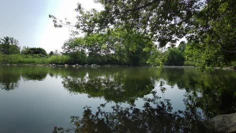 Kleiner-Grüner-Teich,-Umgeben-Von-Bäumen-Und-Gras