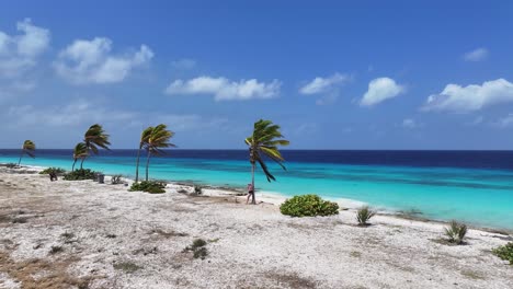 Pink-Beach-Am-Kralendijk-In-Bonaire,-Niederländische-Antillen