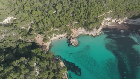 Türkisfarbener-Strand,-Versteckter-Strand-In-Menorca,-Spanien,-Bewaldete-Sommerlandschaft,-Luftaufnahme-Einer-Drohne