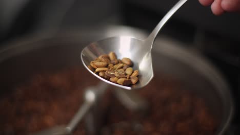 Coffee-Beans-Roasting-Process,-Stainless-Steel-Spoon-With-Roasted-Coffee-Grains