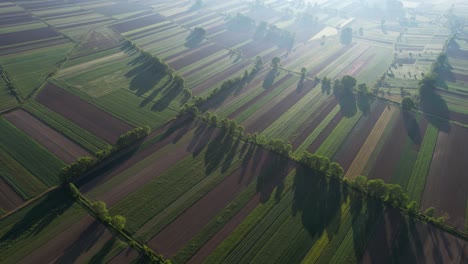 Morgensonnenstrahlen-Beleuchten-Die-Frühlingsfelder-Mit-Wunderschön-Gesäten-Parzellen-Und-Hoch-Aufragenden-Grünen-Bäumen,-Die-Die-Landwirtschaft-Umarmen