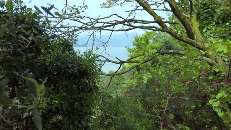 Parallaxeffekt-Zwischen-Bäumen-Mit-Einem-Boot,-Das-Unter-Dem-Azurblauen-Himmel-Am-Gardasee-Segelt