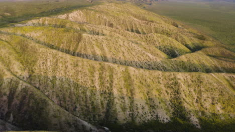 La-Toma-Aérea-Del-Parque-Nacional-Carrizo-Plain-Foothills-Está-Cubierta-De-Parches-De-Flores-Silvestres-Amarillas.