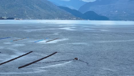 Vista-Aérea-De-La-Acuicultura-Costera-En-La-Bahía-De-Puerto-Montt