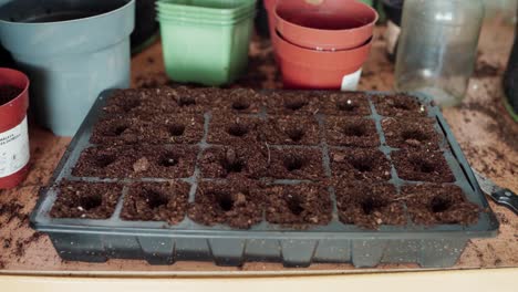 Hands-Planting-Seeds-Into-A-Modular-Seed-Tray---Close-Up