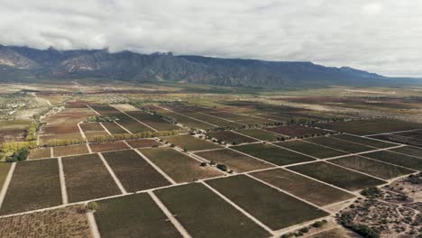 Panoramic-view-of-a-valley-filled-with-Torrontés-and-Malbec-grape-plantations-in-Salta,-Argentina,-South-America