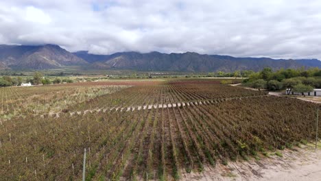 A-sweeping-vista-showcases-a-prestigious-winery-in-the-heart-of-the-Cafayate-Valley,-Salta,-Argentina,-known-for-its-exceptional-high-altitude-wines