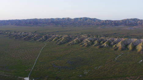Bird-eye-arial-view-of-Californias-Carrizo-Plains,-which-is-known-as-Grassland-shows-beautiful-view