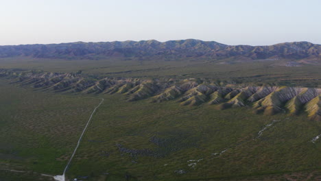 Vista-Aérea-A-Vista-De-Pájaro-De-Las-Llanuras-De-Carrizo-De-California,-Conocidas-Como-Pastizales,-Que-Muestran-Una-Hermosa-Vista