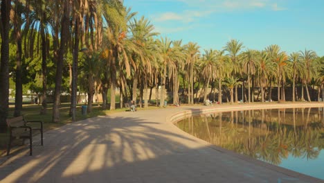 Camino-Soleado-Rodeado-De-Palmeras-En-Los-Jardines-Del-Turia,-Valencia,-Reflexionando-Sobre-Aguas-Tranquilas