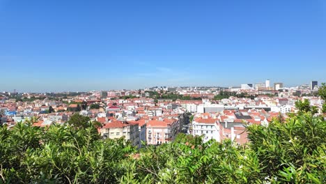 Paisaje-Urbano-De-Lisboa-Visto-Desde-El-Miradouro-Da-Senhora-Do-Monte,-Exuberante-Vegetación-En-Primer-Plano,-Día-Soleado