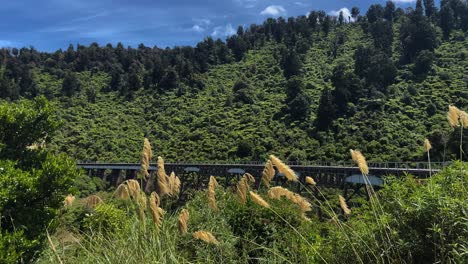 Railroad-trestle-spanning-a-forest-valley-with-grass-in-the-foreground-on-a-sunny-day