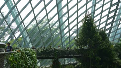 Visitors-leisurely-walk-along-the-elevated-pathway,-enchanted-by-the-enchanting-atmosphere-of-the-Cloud-Forest-greenhouse-conservatory,-lush-indoor-greenery-at-Gardens-by-the-Bay-in-Singapore