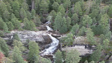 Majestic-Waterfall-in-the-Heart-of-a-Forest