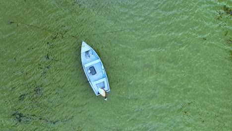 Vista-Aérea-De-Un-Solo-Barco-Flotando-Sobre-Un-Fondo-Marino-Verde-Vibrante,-Mostrando-Las-Aguas-Cristalinas-Y-El-Rico-Entorno-Marino.