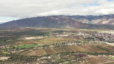 Aerial-image-showcasing-beautiful-vineyards-in-Cafayate,-Salta,-Argentina