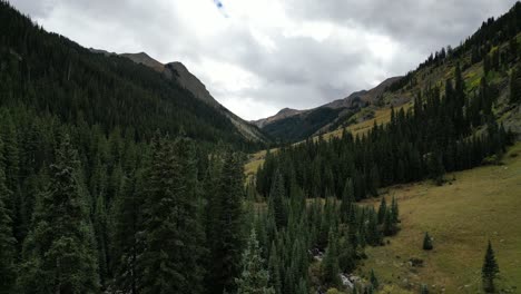 Dense-Green-Tree-Forest-in-Colorado-Mountains