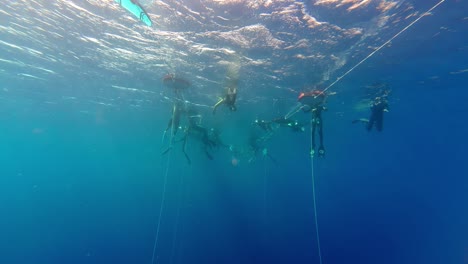 Gruppe-Von-Freitauchern,-Die-Im-Roten-Meer-In-Dahab,-Ägypten-Schweben