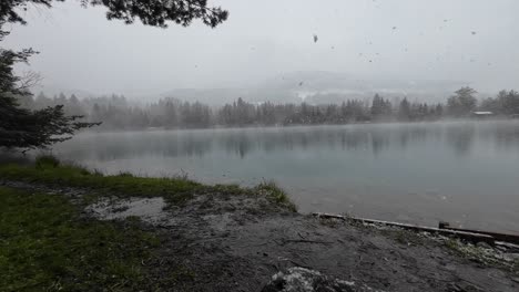 Steady-shot-of-last-Snow-Flakes-of-the-season-falling-on-Beautifull-Lake-in-Austria,-Europe