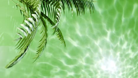Pflanzenbaum-Tropischer-Natur-Auf-Flüssigem-Hintergrund-Mit-Licht,-Das-Von-Der-Grünen-Wasseroberfläche-Kommt