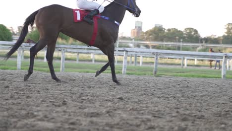 Tracking-shot-of-brown-horse-galloping-with-jockey-on-racecourse-in-Buenos-Aires-at-golden-sunset