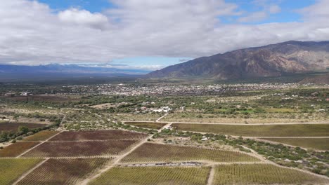 En-Esta-Impresionante-Vista-Aérea,-Los-Viñedos-Se-Extienden-Hasta-Donde-Alcanza-La-Vista,-Enmarcados-Por-Las-Grandes-Montañas-De-Los-Andes-En-Cafayate,-Salta,-Argentina.