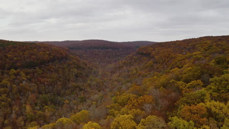 Lebendiges-Herbstlaub-Am-Whitaker-Point-Im-Ozark-National-Forest,-Arkansas