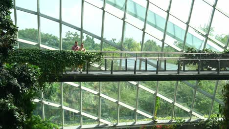 Tourists-photo-taking-on-the-aerial-walkway-of-Cloud-Forest-greenhouse-conservatory,-immersed-in-the-magical-environment,-an-indoor-greenery-at-Gardens-by-the-bay,-Singapore