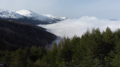 Luftaufnahme-Von-Wunderschönen-Nadelwald-Berghängen,-Die-Mit-Schwebenden-Wolken-Bedeckt-Sind,-Schneebedeckter-Berggipfel-Am-Tag-In-Der-Ferne