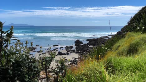 Slider-shot-of-surfers-waiting-for-waves-on-the-ocean-in-the-distance-with-grass-and-bushes-in-foreground