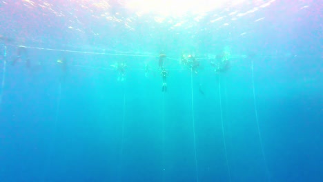 Freediving-Activity-In-The-Red-Sea-On-Sunny-Summer-Day-In-Dahab,-Egypt