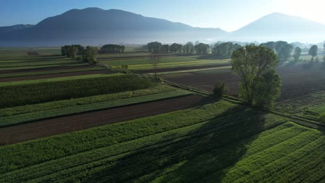 Schöner-Morgen-Auf-Dem-Von-Bergen-Umgebenen-Feld:-Frühlingsfarben-Entfalten-Sich-über-Bunt-Gesäten-Parzellen,-Wenn-Die-Sonne-Aufgeht