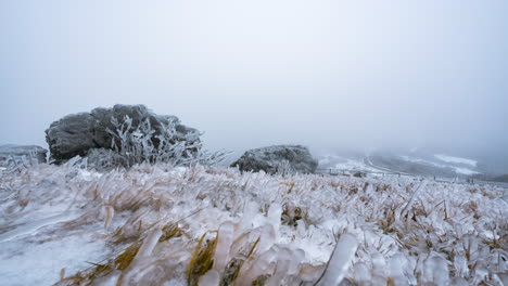 Frosty-winter-landscape-with-icy-grass-and-rock-formations,-shrouded-in-thick-fog