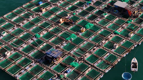 Gitterförmige-Fischzuchtfarm,-Die-In-Den-Flüssen-Südostasiens-Schwimmt